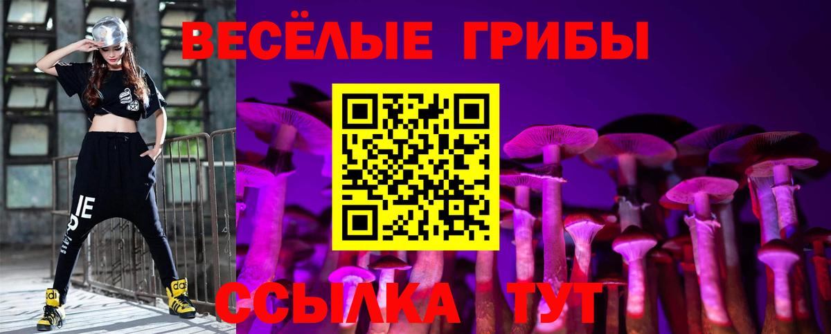 Новокубанск  Псилоцибиновые грибы GOLDEN TEACHER  Вход с VPN 