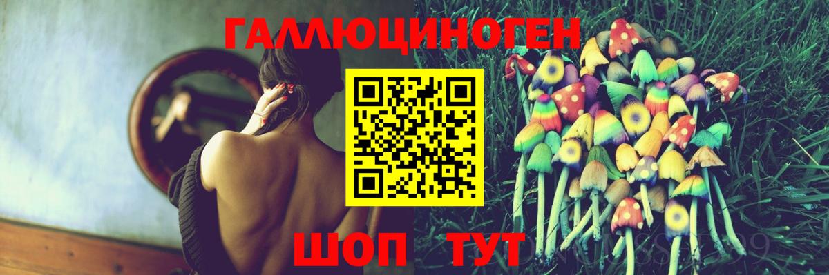 Псилоцибиновые грибы прущие грибы Новокубанск